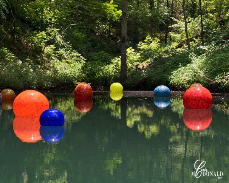 Chuhily globes floating on pond