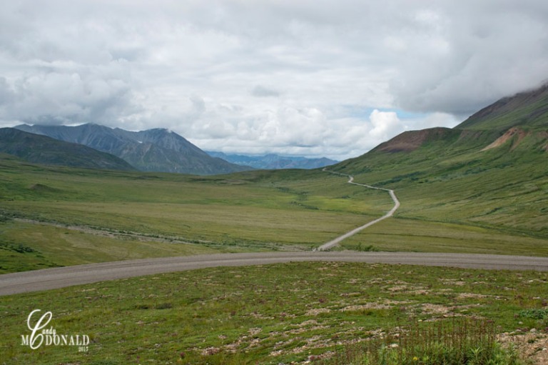 Tundra tour view of Denali DSC_0174