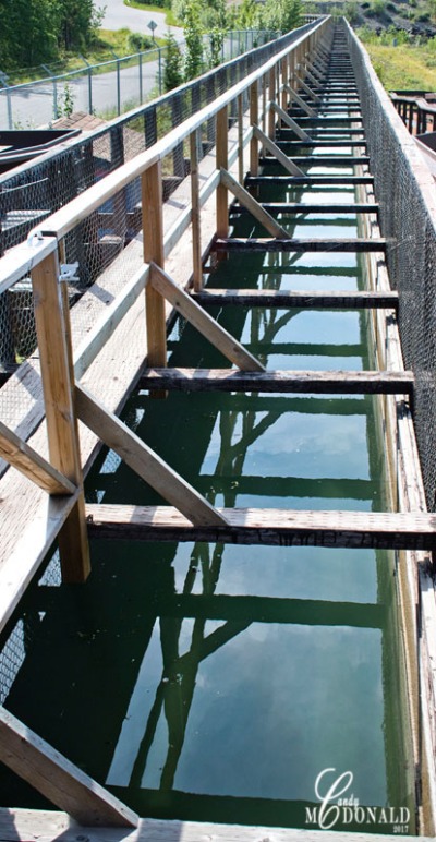 Whitehorse Fish Ladder 2