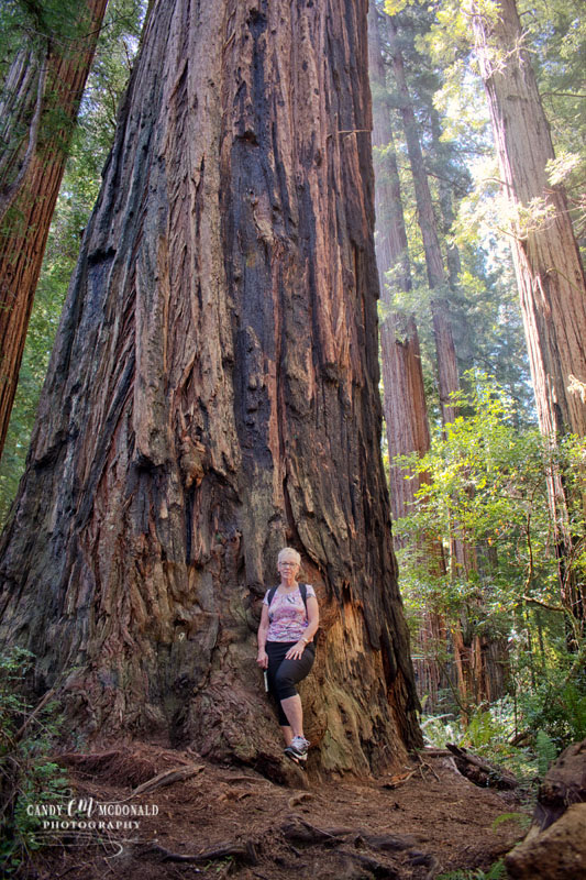 Woman beside base of redwood tree in Stout Grove.